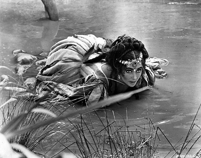 A makrancos hölgy - Filmfotók - Elizabeth Taylor