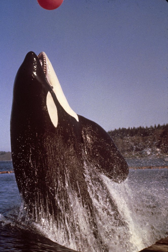 Namu, the Killer Whale - Z filmu