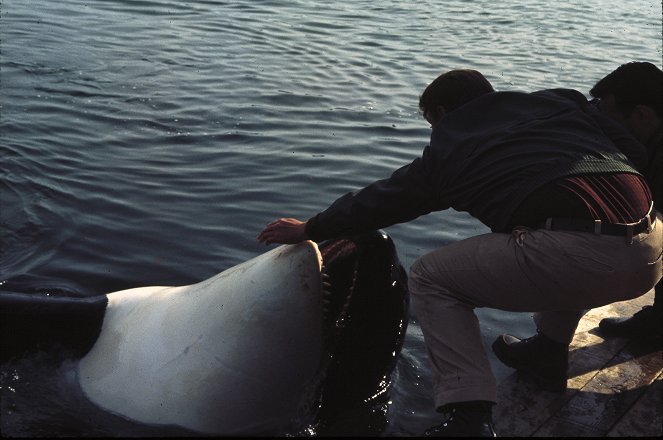 Namu, the Killer Whale - Do filme