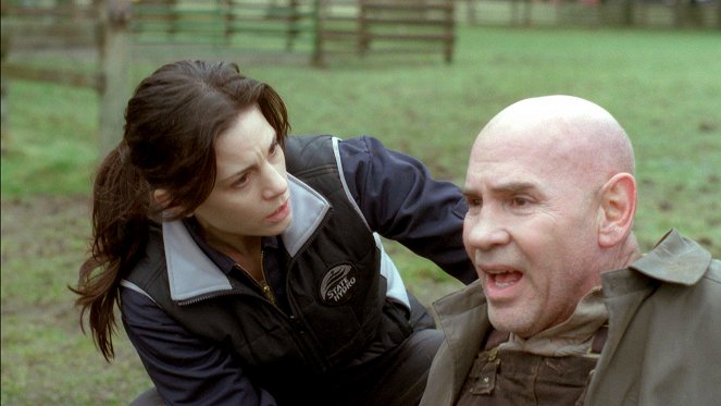 Mega bouře - Z filmu - Leah Cairns, Mitch Pileggi