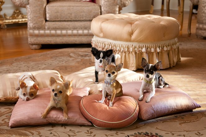 Beverly Hills Chihuahua 2 - Do filme