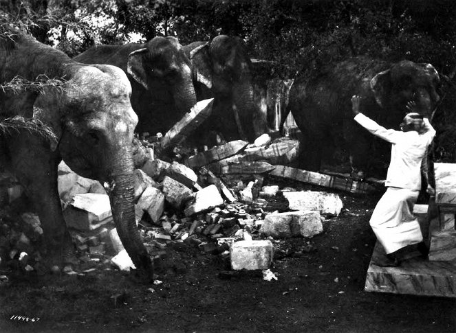 La senda de los elefantes - De la película