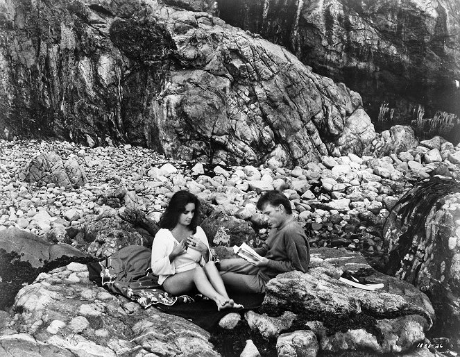 The Sandpiper - Z filmu - Elizabeth Taylor, Richard Burton