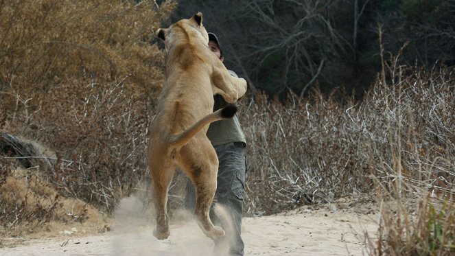 The Lion Ranger - Do filme