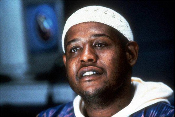 Species - Photos - Forest Whitaker