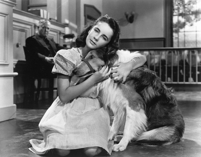 Lassie bátorsága - Filmfotók - Elizabeth Taylor, Pal