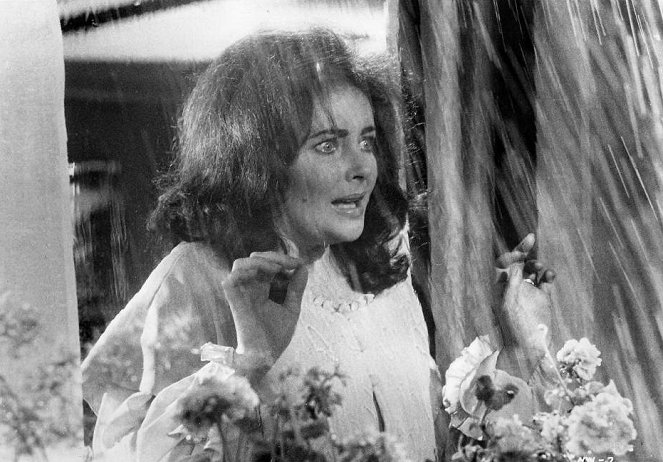 Kauhujen ikkuna - Kuvat elokuvasta - Elizabeth Taylor