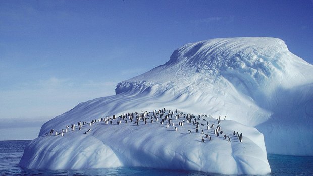 Svět přírody - Série 24 - Za tučňáky na Antarktidu - Z filmu
