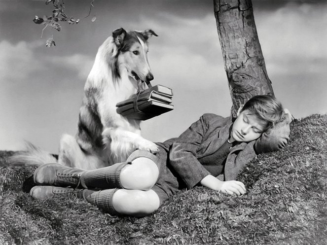 Lassie Come Home - Do filme - Pal, Roddy McDowall