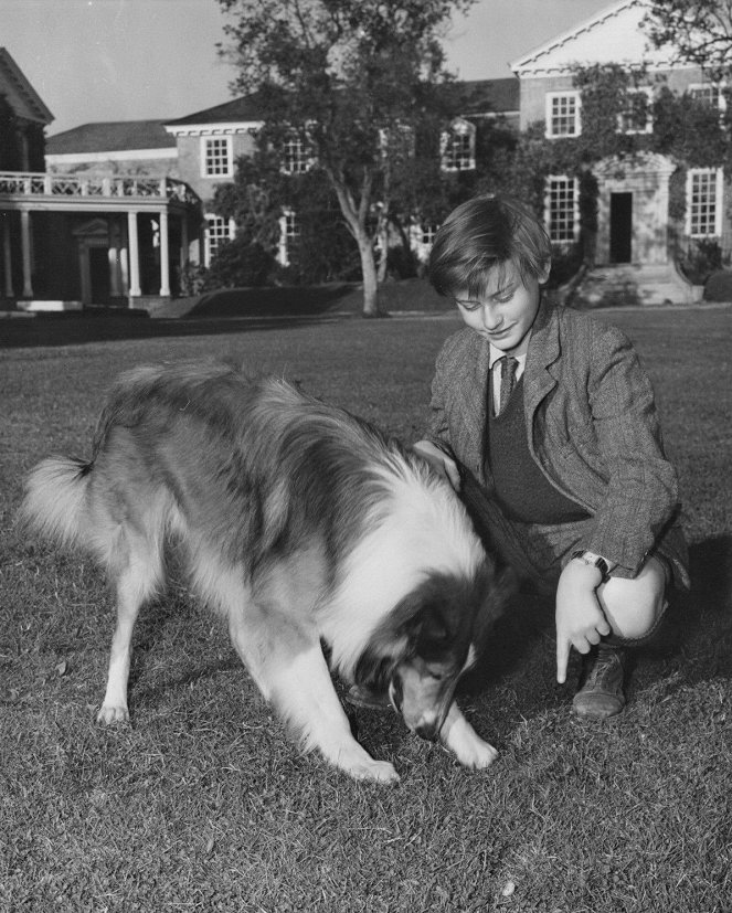 Lassie se vrací - Z filmu - Pal, Roddy McDowall