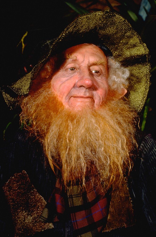 The Magical Legend of the Leprechauns - Van film - Colm Meaney