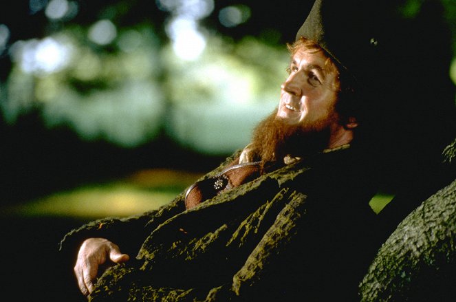 The Magical Legend of the Leprechauns - Van film - Colm Meaney