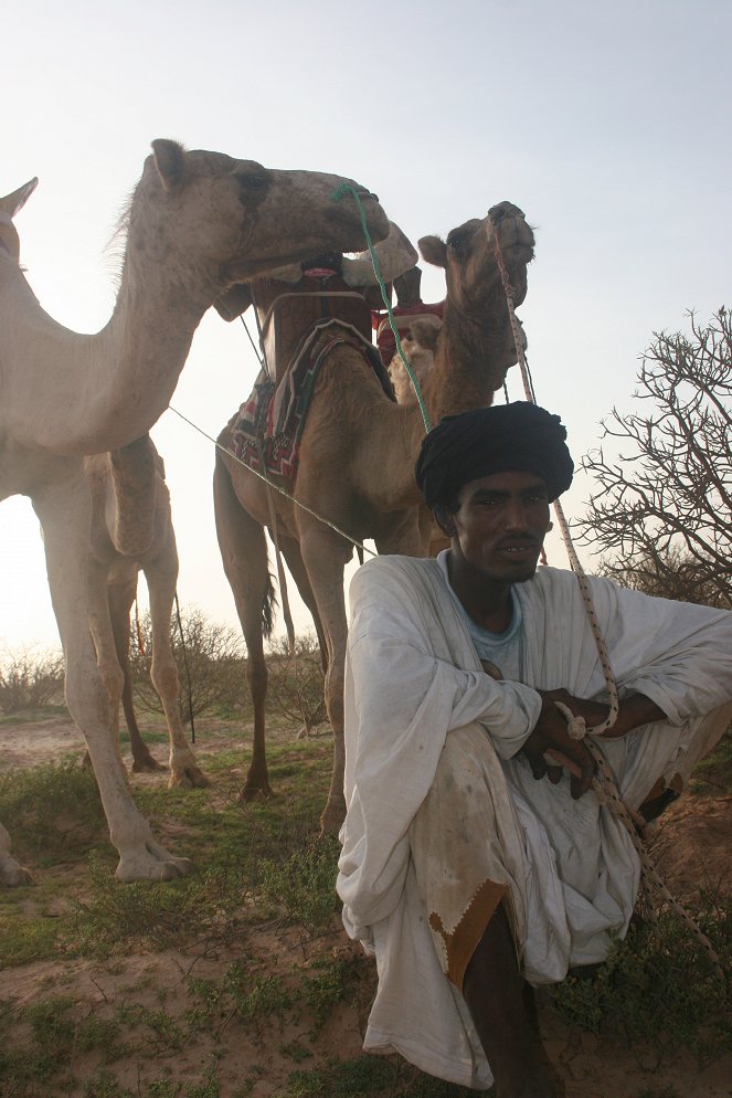 Mad Way South – The Sahara Challenge - Photos