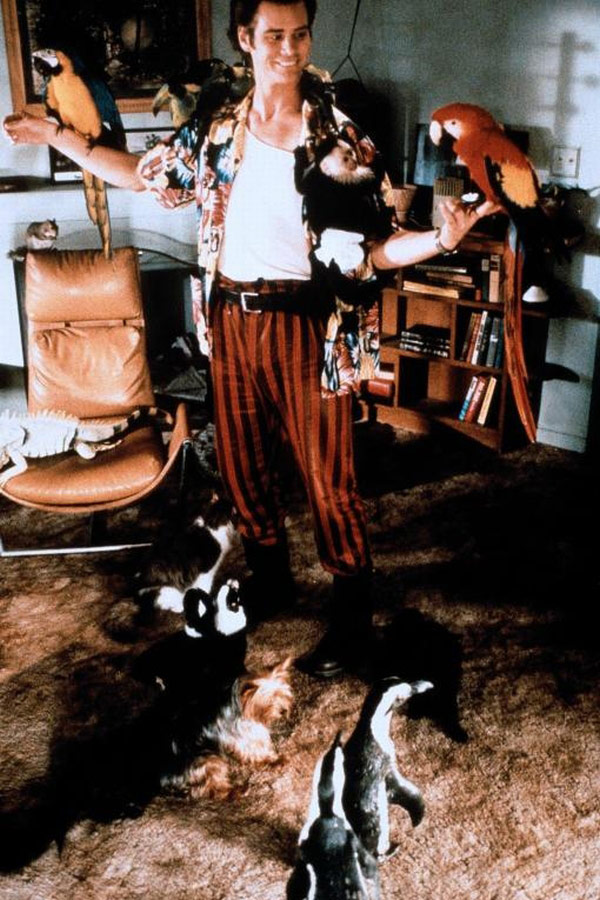 Ace Ventura - Lemmikkidekkari - Kuvat elokuvasta - Jim Carrey