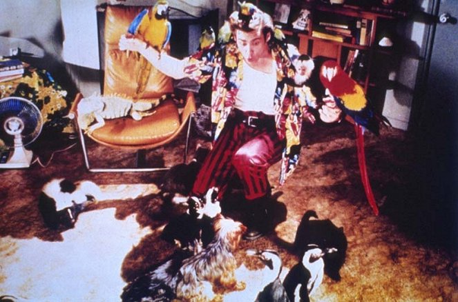 Ace Ventura, détective chiens et chats - Film - Jim Carrey