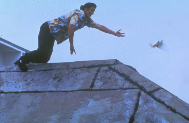 Ace Ventura: Zvířecí detektiv - Z filmu