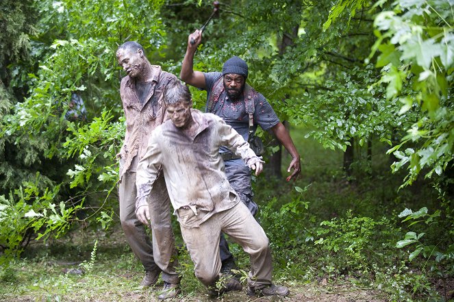 Walking Dead - Eristyksissä - Kuvat elokuvasta - Chad L. Coleman