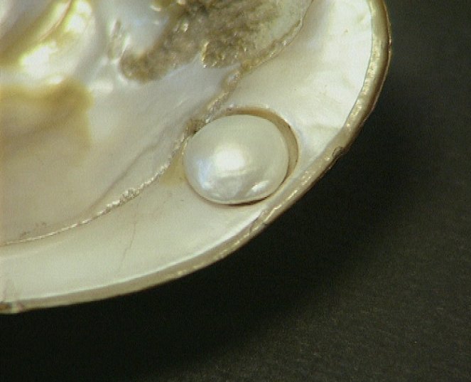Lapidárium: Příběh perlového ornátu - De la película