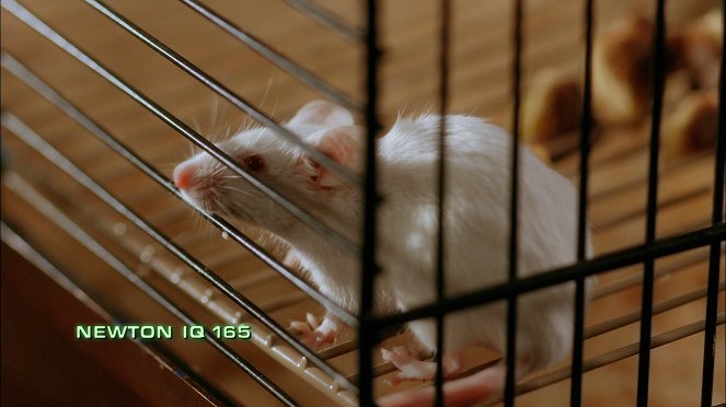 Jirka a bílé myšky - Film