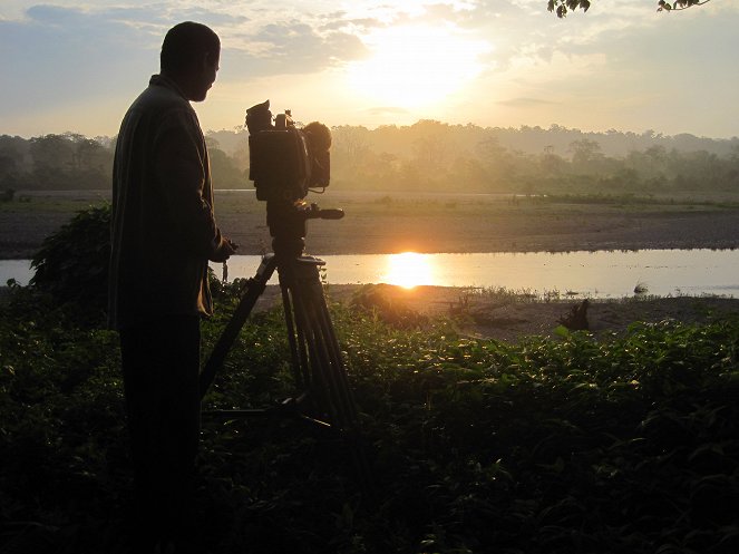 Ködfoltos párducok: visszatérés a dzsungelbe - Filmfotók