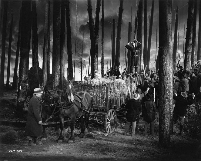 Frankensteinin morsian - Kuvat elokuvasta