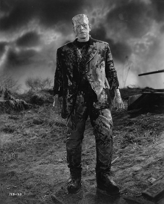 Frankenstein menyasszonya - Filmfotók - Boris Karloff