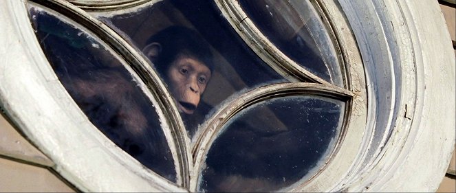Planet der Affen: Prevolution - Filmfotos