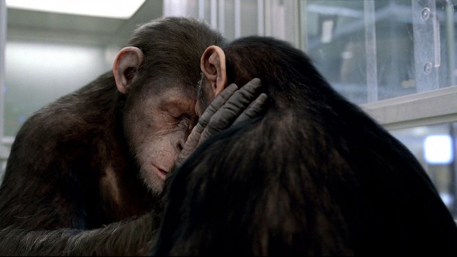 Planeta dos Macacos: A Origem - Do filme