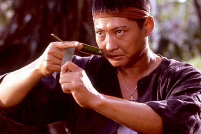 Dung fong tuk ying - Do filme - Sammo Hung