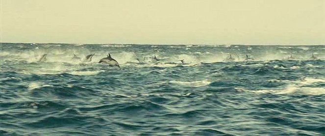 Óceánok - Filmfotók