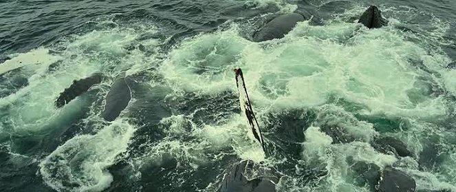 Óceánok - Filmfotók