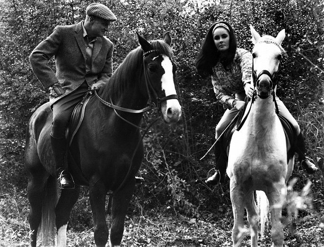 Heijastuksia kultaisessa silmässä - Kuvat elokuvasta - Brian Keith, Elizabeth Taylor