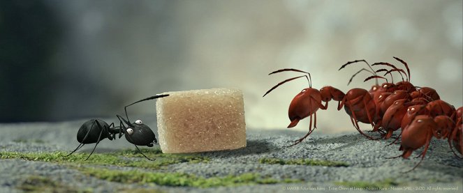 Minúsculos. El valle de las hormigas perdidas - De la película