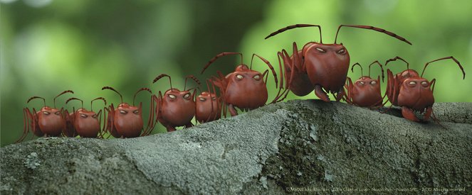 Minúsculos. El valle de las hormigas perdidas - De la película