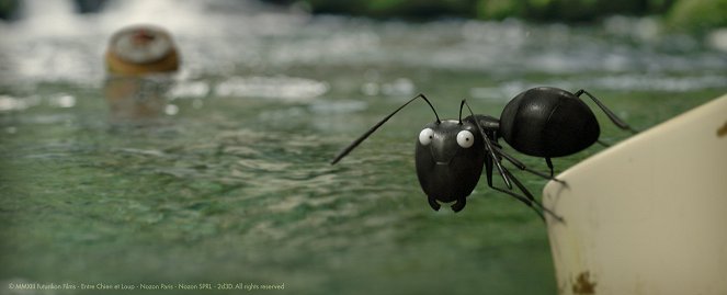 Minuscule: Valley of the Lost Ants - Photos