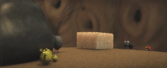 Csodabogarak - Az elveszett hangyák völgye - Filmfotók