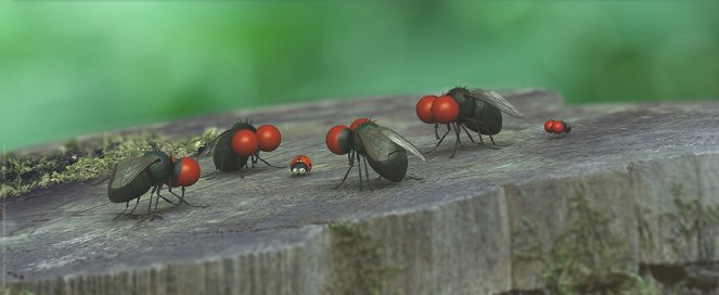 Minuscule - La vallée des fourmis perdues - Film