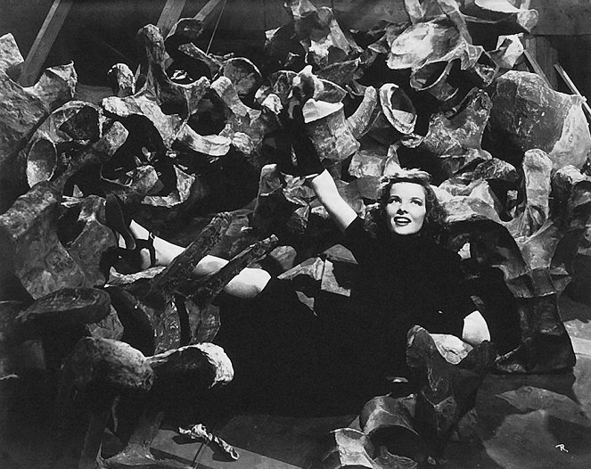 Nősténytigris - Filmfotók - Katharine Hepburn