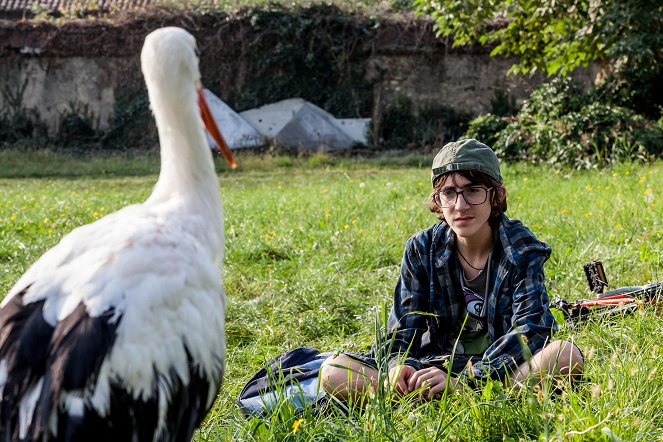 Elia és a gólya - Filmfotók - Luca Dirodi