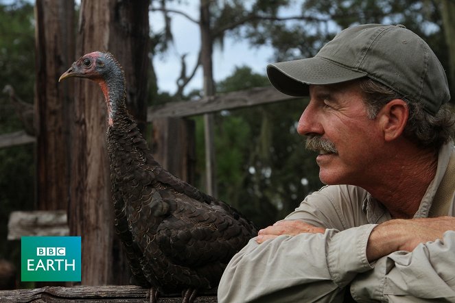 The Natural World - Season 30 - My Life as a Turkey - Z filmu