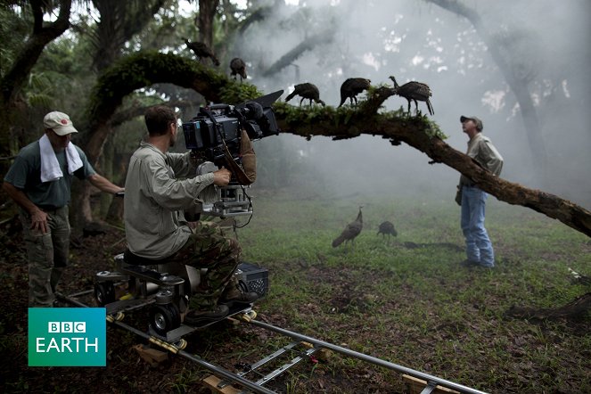 Natural World - Der Truthahnflüsterer - Filmfotos