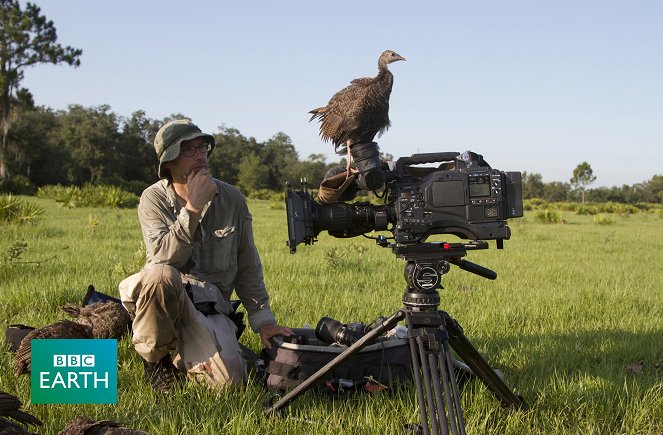 The Natural World - My Life as a Turkey - Film