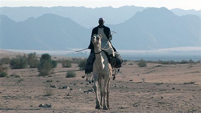 Na cestě - Na cestě po jižním Jordánsku - Film