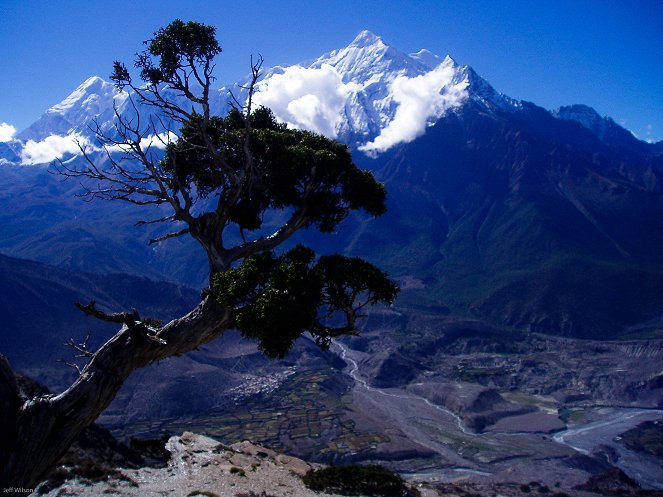 The Natural World - The Himalayas - Photos
