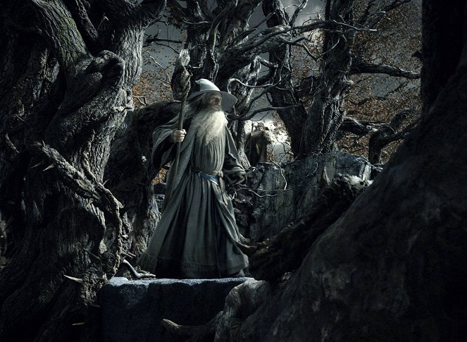 Le Hobbit : La désolation de Smaug - Film - Ian McKellen