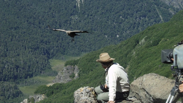 Svět přírody - Série 24 - Létání s kondory - Z filmu
