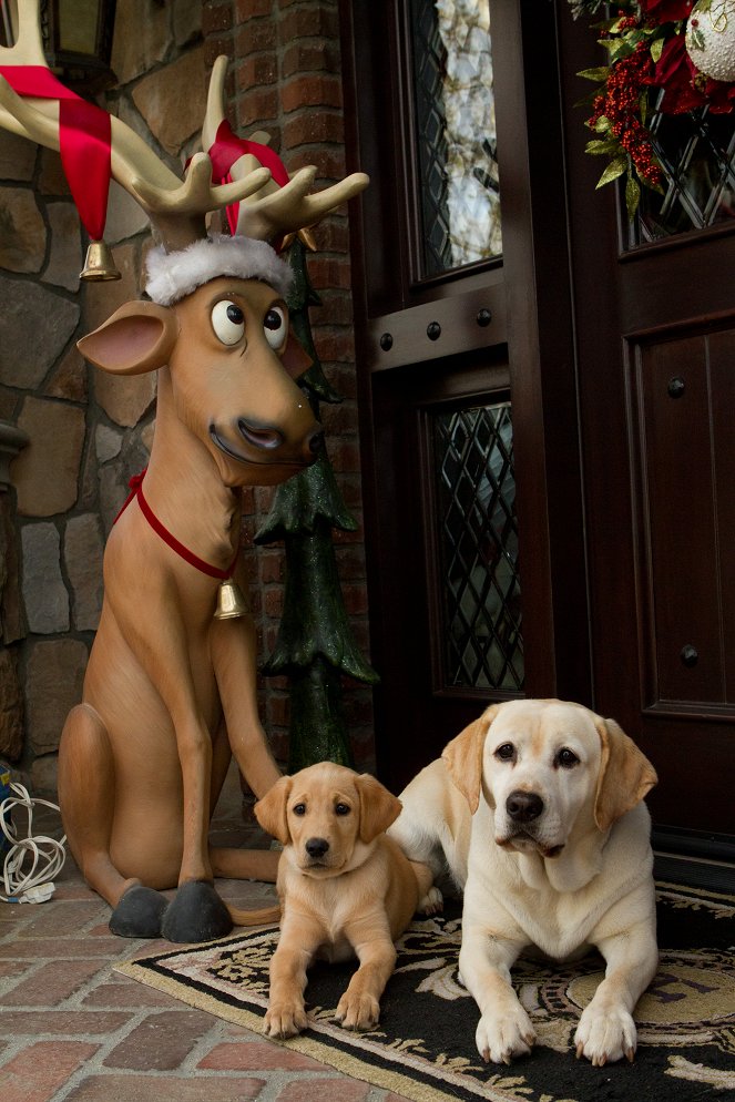 Pes, ktorý zachránil Vianoce 2 - Z filmu