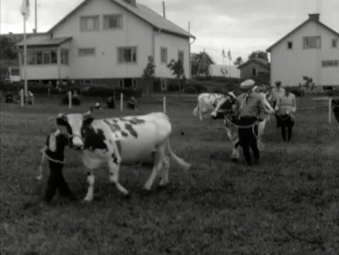 Alastaron maatalousnäyttely - Do filme