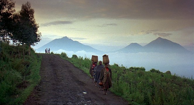 Gorilas en la niebla - De la película