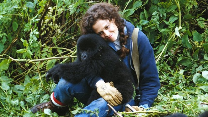 Gorillas in the Mist: The Story of Dian Fossey - Z filmu